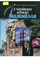 Локальне зображення обкладинки