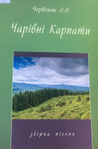 Локальне зображення обкладинки