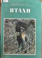 Локальне зображення обкладинки