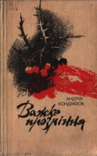 Локальне зображення обкладинки