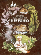 Локальне зображення обкладинки