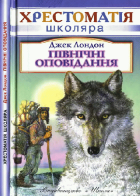 Локальне зображення обкладинки