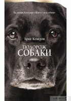 Локальне зображення обкладинки