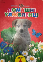 Локальне зображення обкладинки
