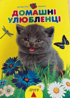 Локальне зображення обкладинки