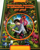 Локальне зображення обкладинки