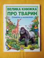 Локальне зображення обкладинки