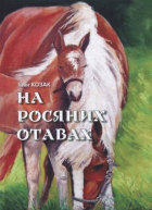 Локальне зображення обкладинки