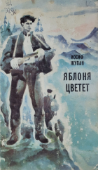 Локальне зображення обкладинки