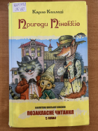 Локальне зображення обкладинки
