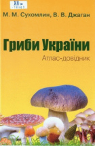 Локальне зображення обкладинки